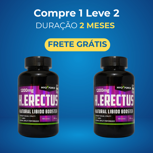 H Erectus